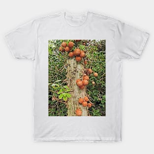 Tropical Globes T-Shirt